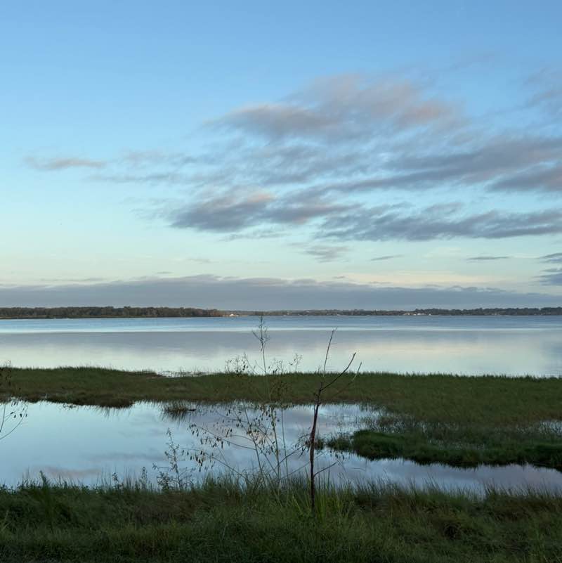 Let’s Walk! Michelle Repetti post image