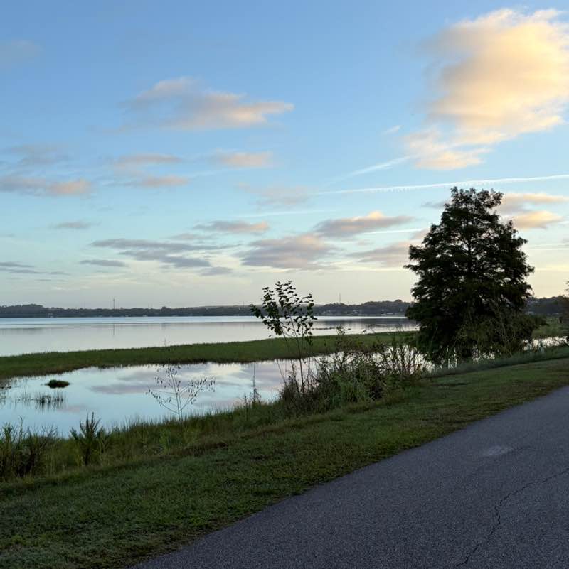 Let’s Walk! Michelle Repetti post image