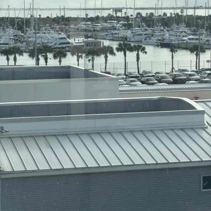 Let’s Walk! Michelle Repetti post image