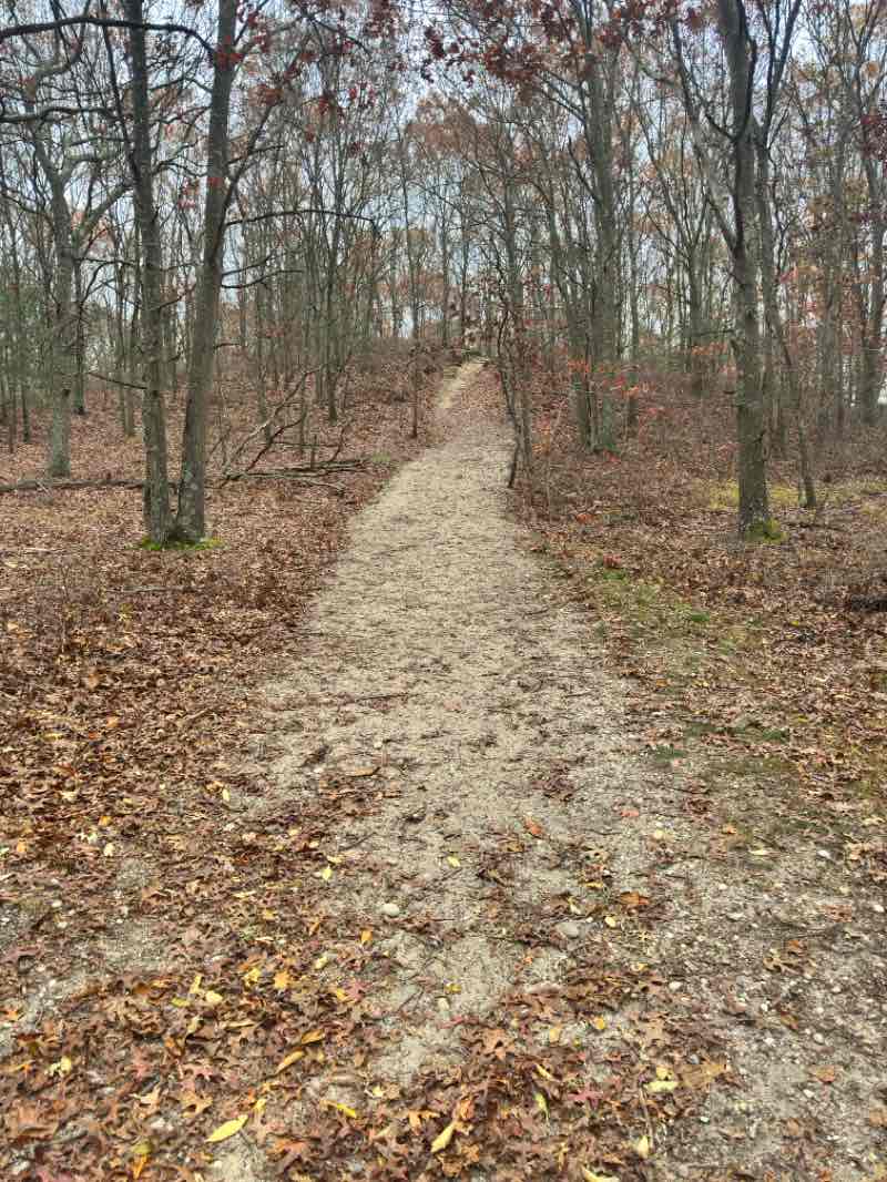 walking near me in Farmingville Hills County Park in autumn