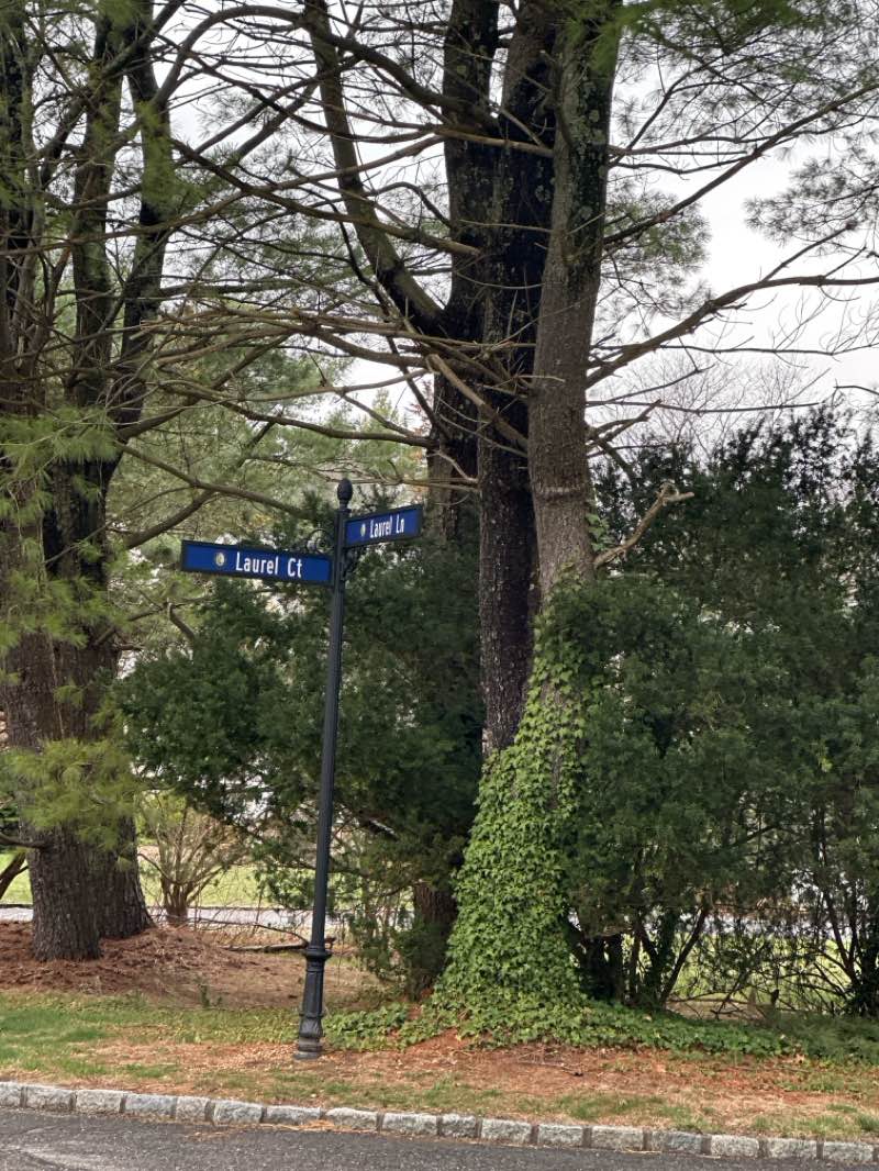 walking near me in Ira Road Park S-3 in spring