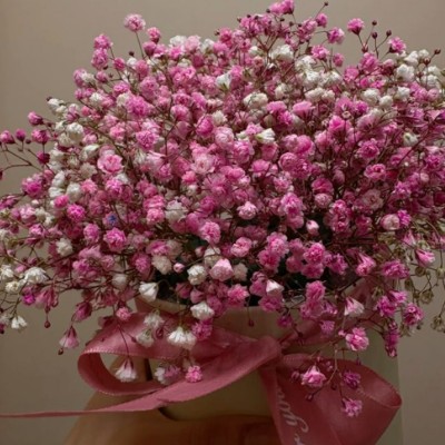 Социопатики Monste post image