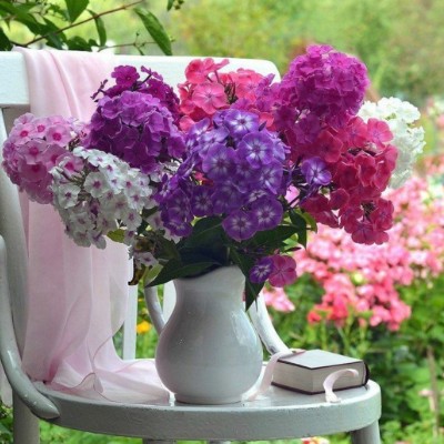 Социопатики Monste post image