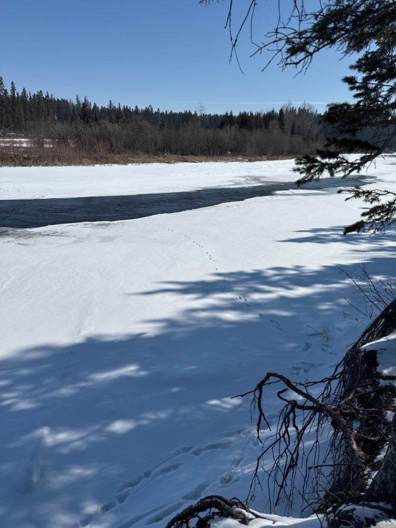 walking near me in Three Mile Bend Park in winter