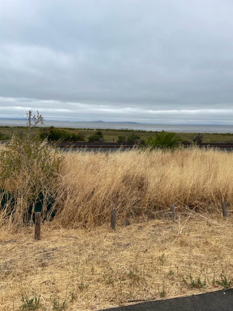 walking near me in Fernandez Park in autumn