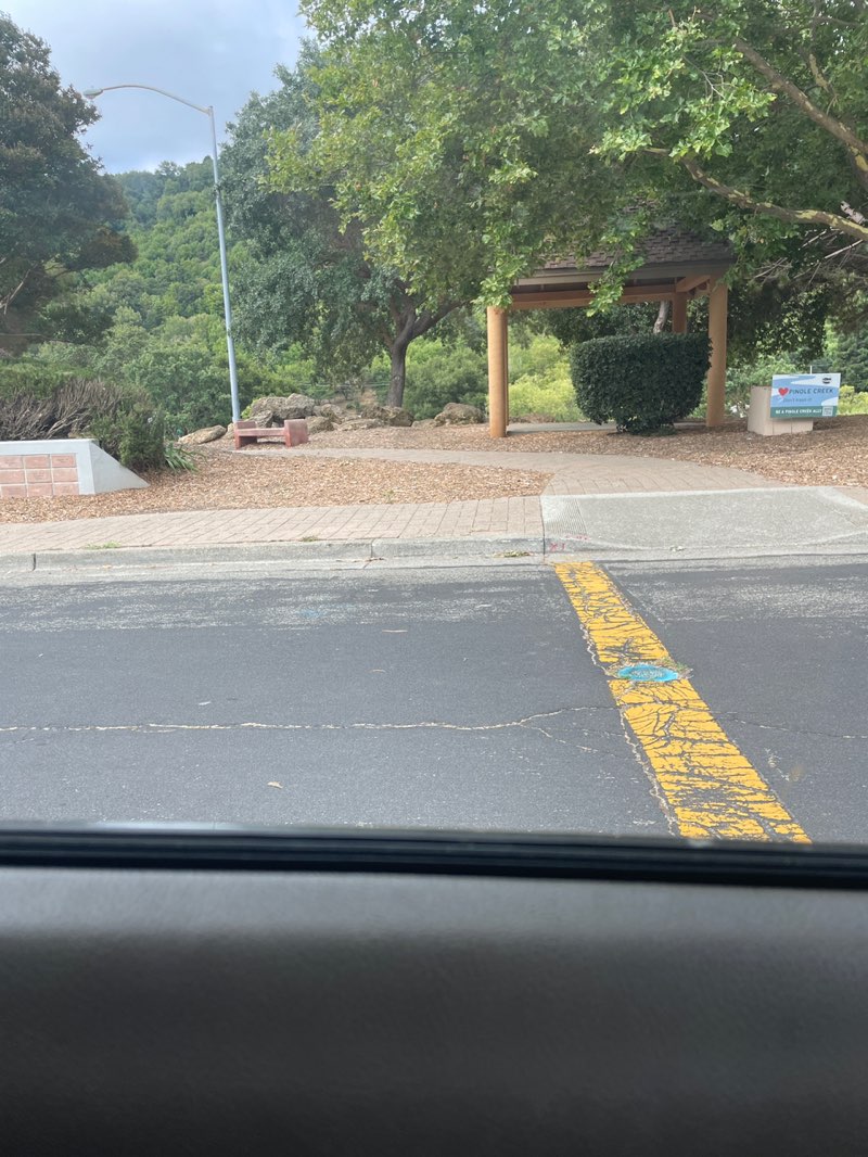 walking near me in Amber Swartz Park in summer