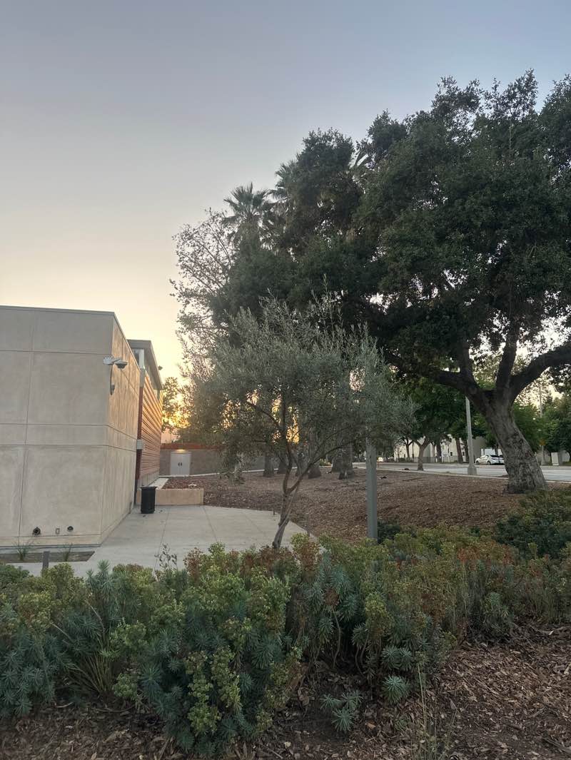 walking near me in Robinson Park in autumn