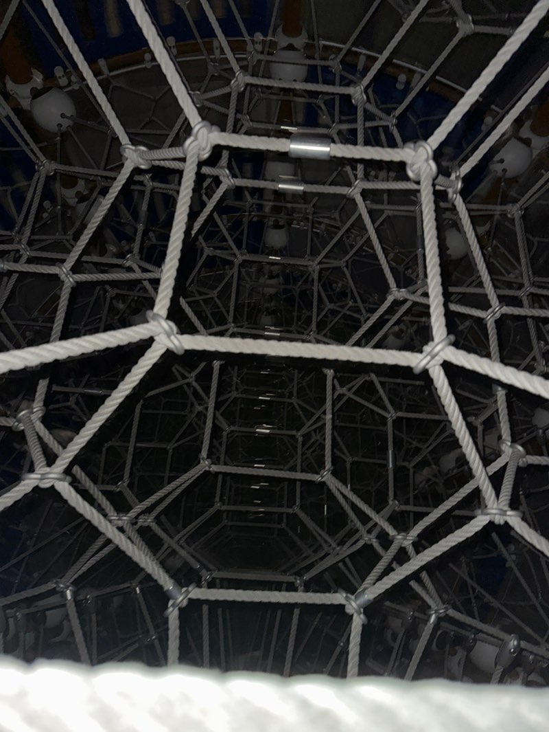 walking near me in Fremont Park in winter