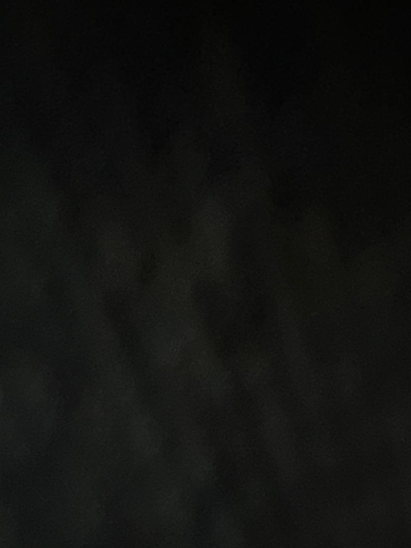 walking near me in Carr Park in spring