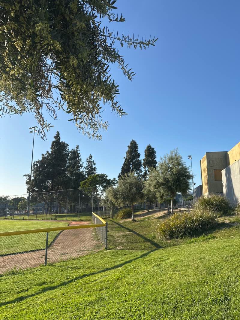 walking near me in Pacific Park in spring