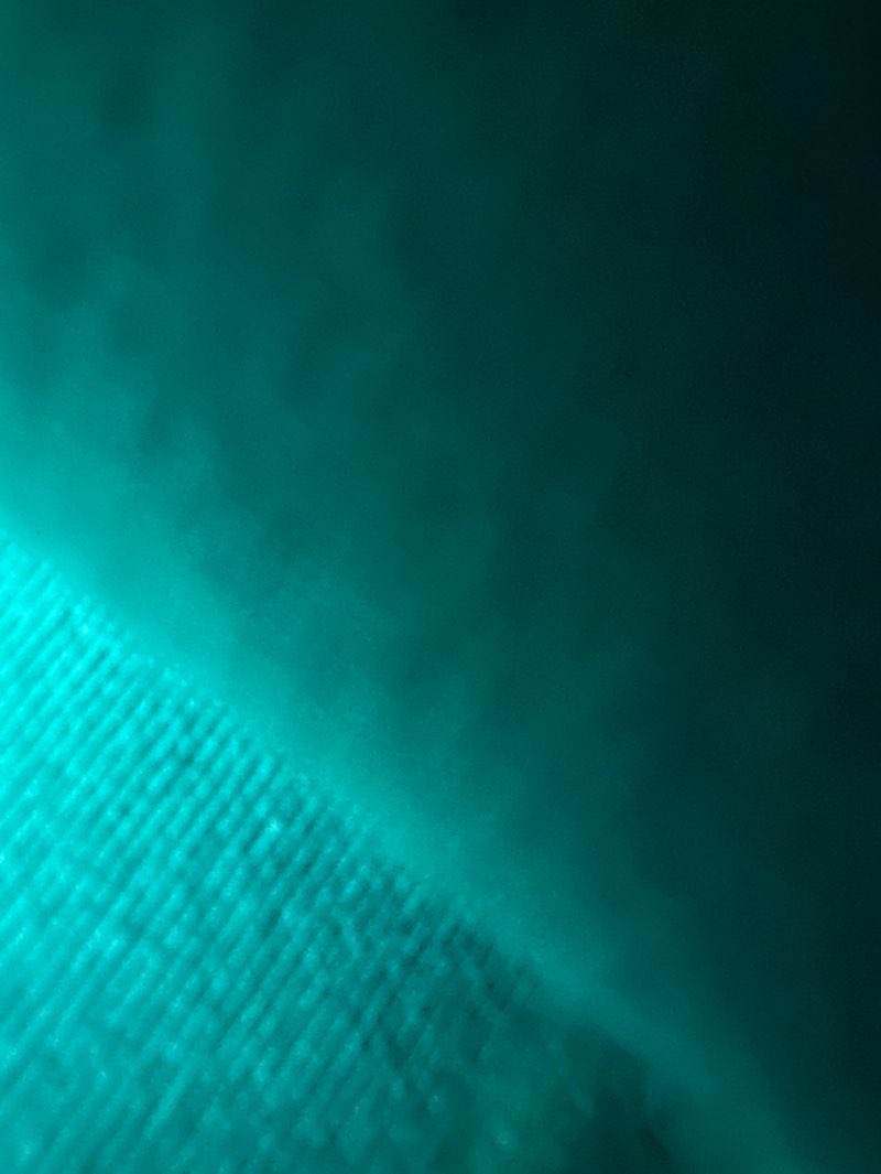 walking near me in Verdugo Woodlands Elementary School in spring