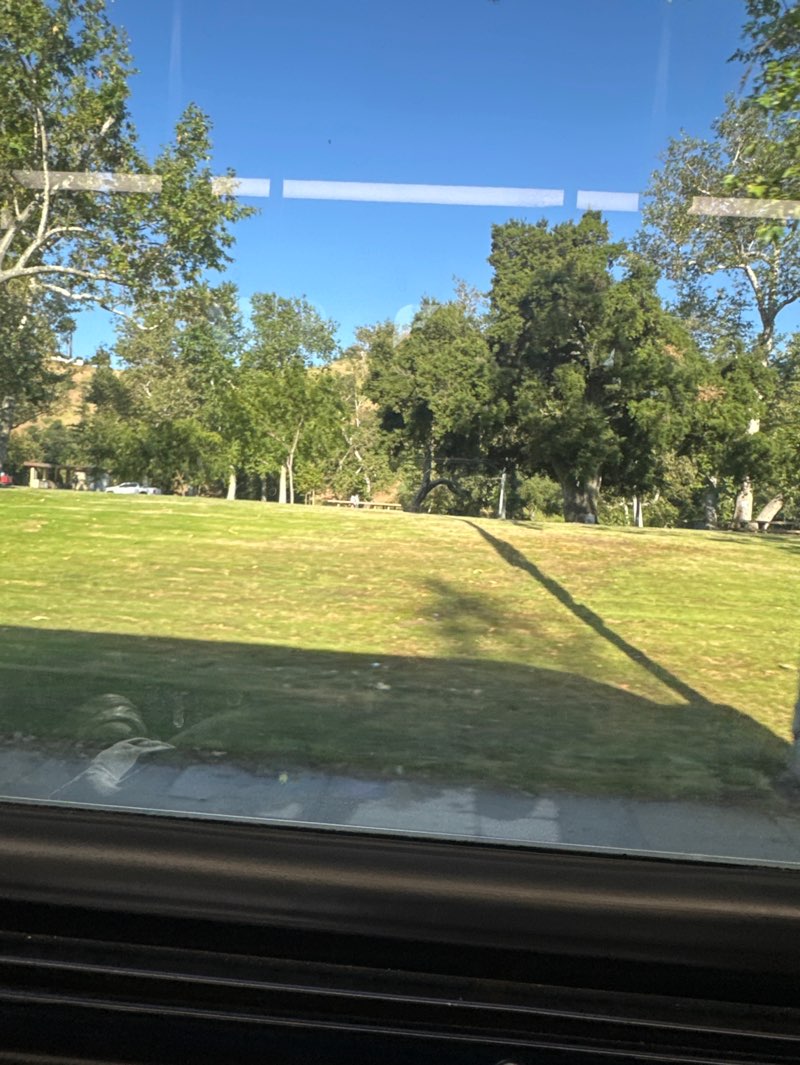 walking near me in Verdugo Park in spring