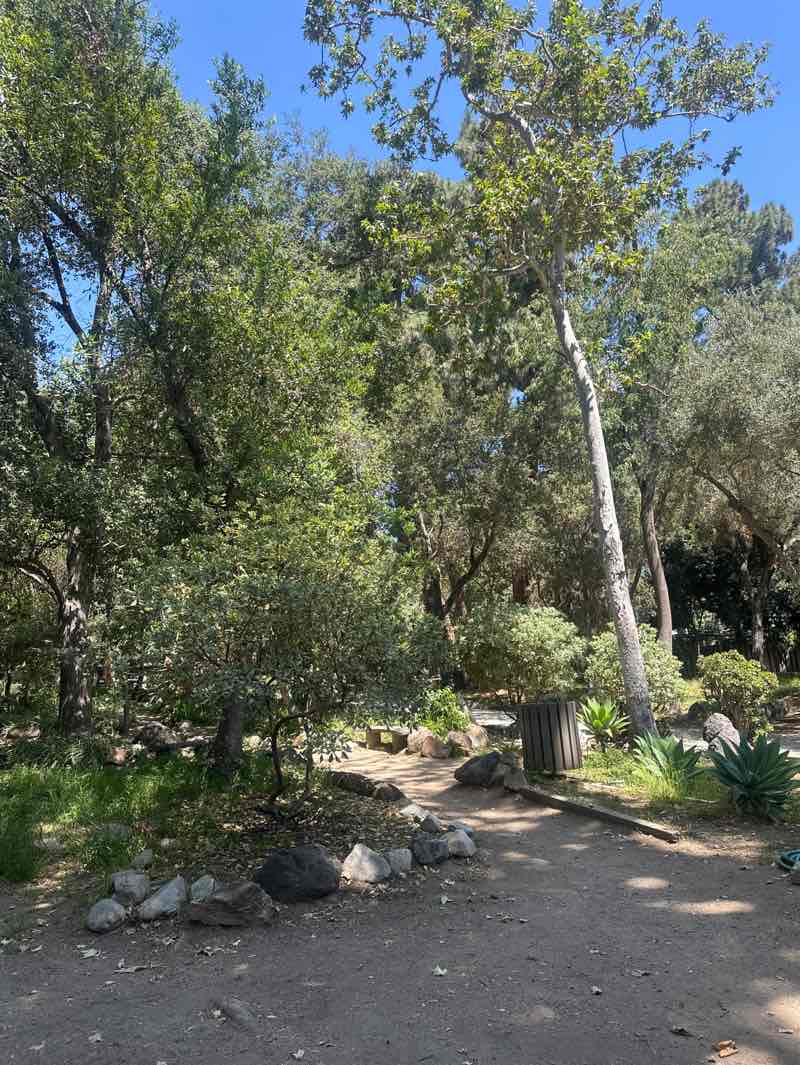 walking near me in Catalina Verdugo Adobe Park in spring