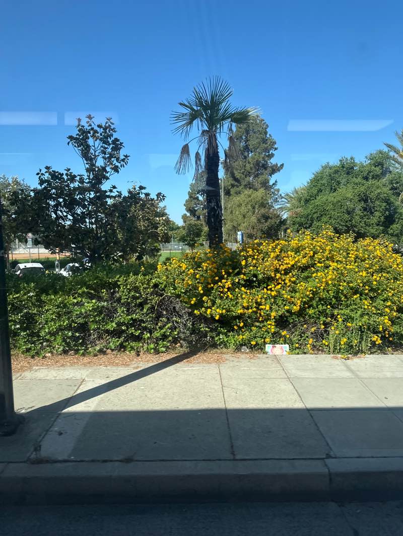 walking near me in McCambridge Park in summer