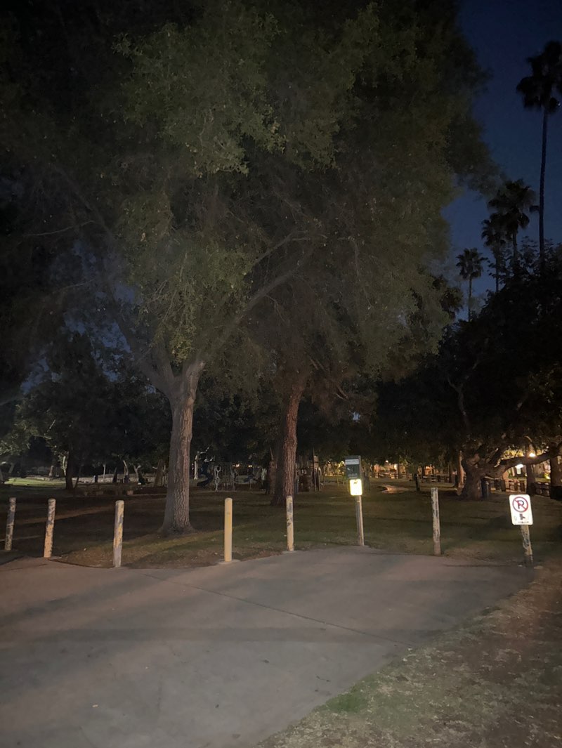 walking near me in Nibley Park in autumn