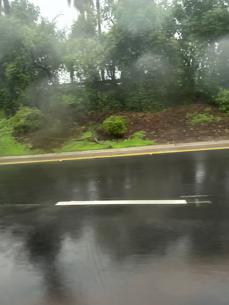 walking near me in Defenders Park in winter