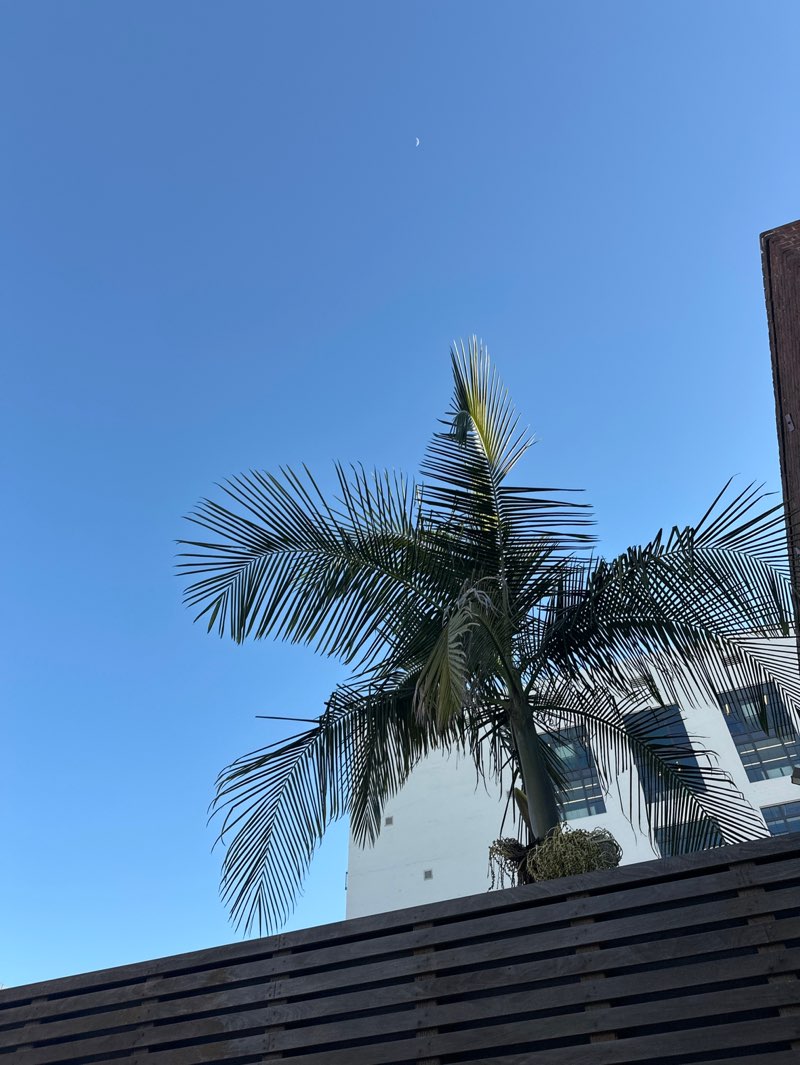 walking near me in Glendale Central Park in winter