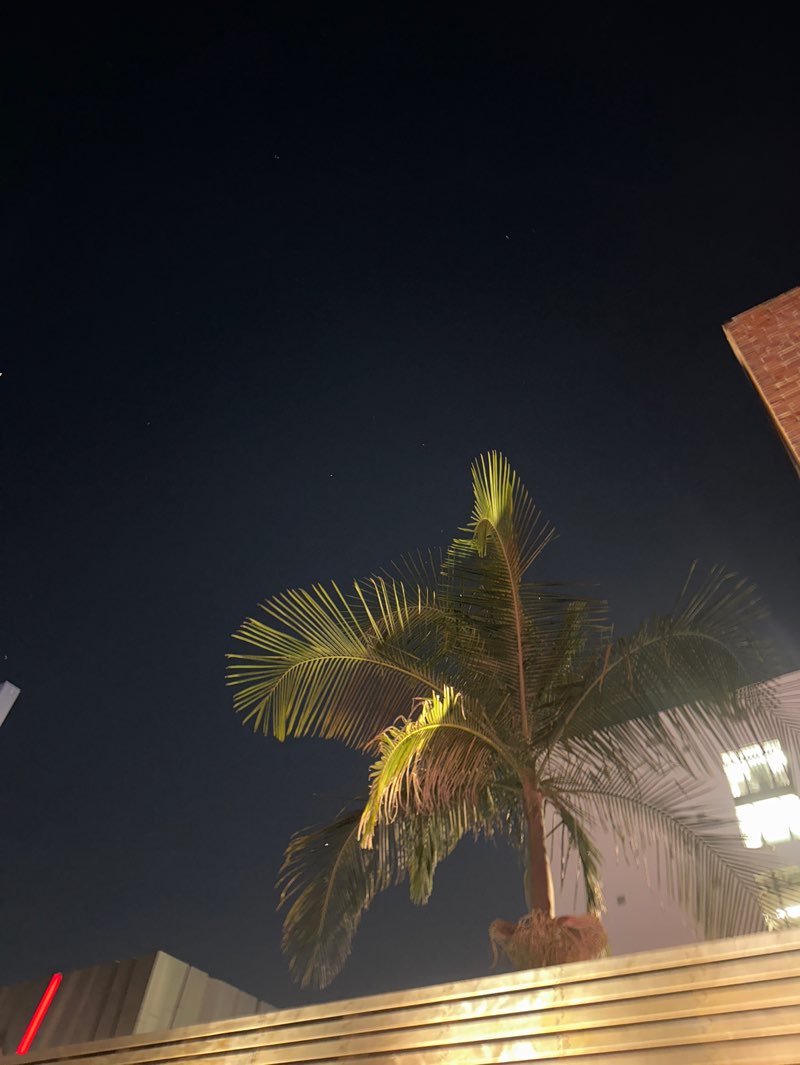 walking near me in Glendale Central Park in winter