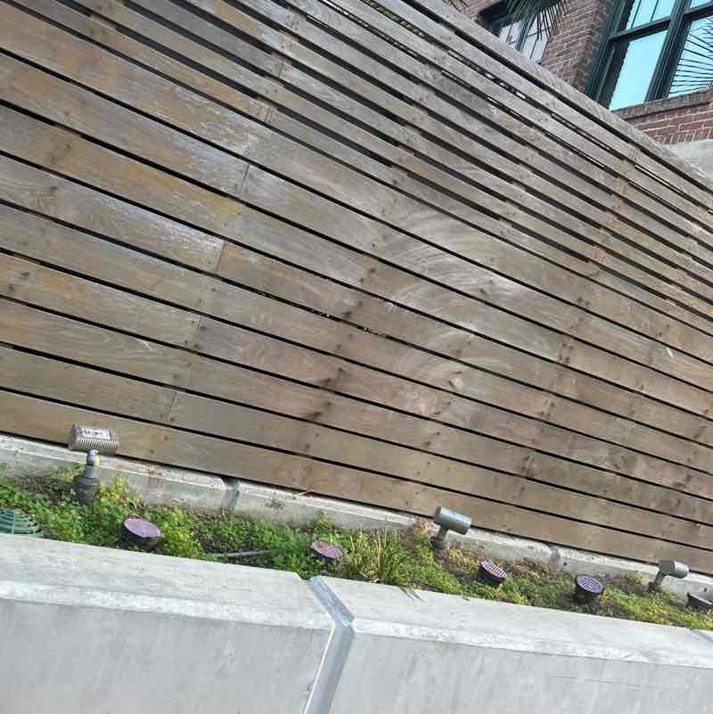 PacerGal_2002 post 1