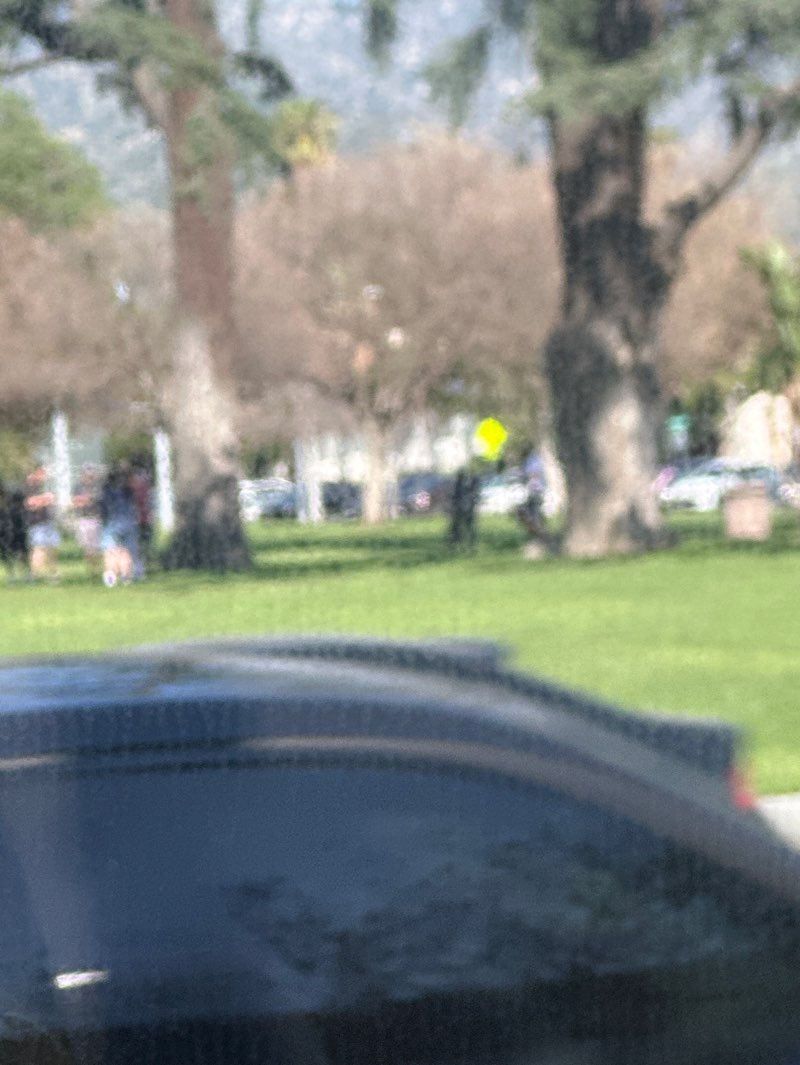 walking near me in McCambridge Park in spring