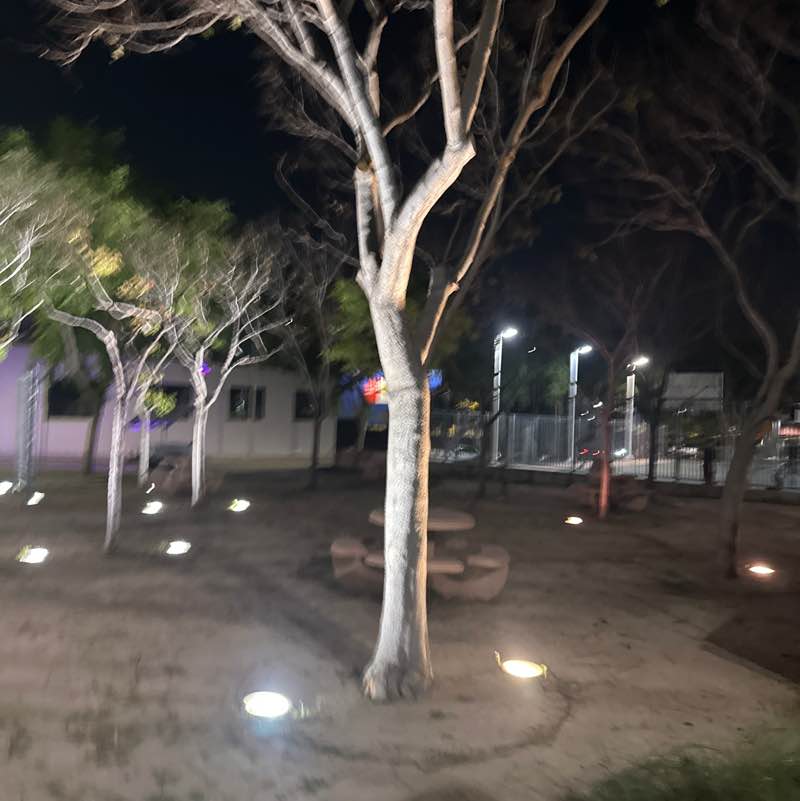 PacerGal_2002 post 1