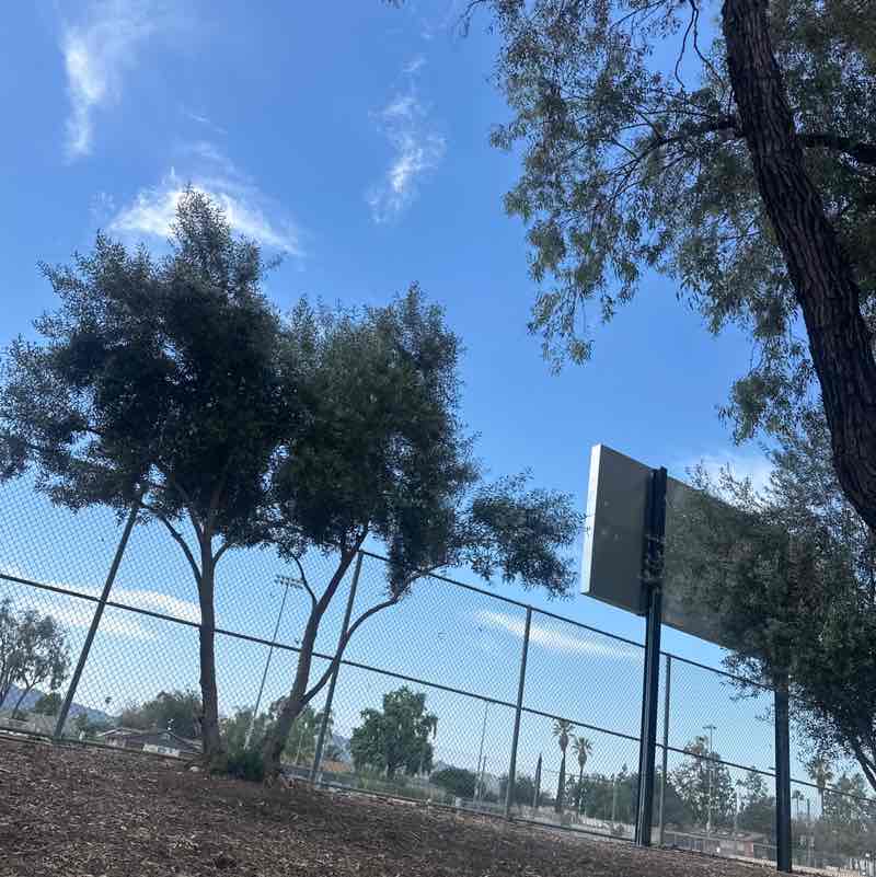 PacerGal_2002 post 1