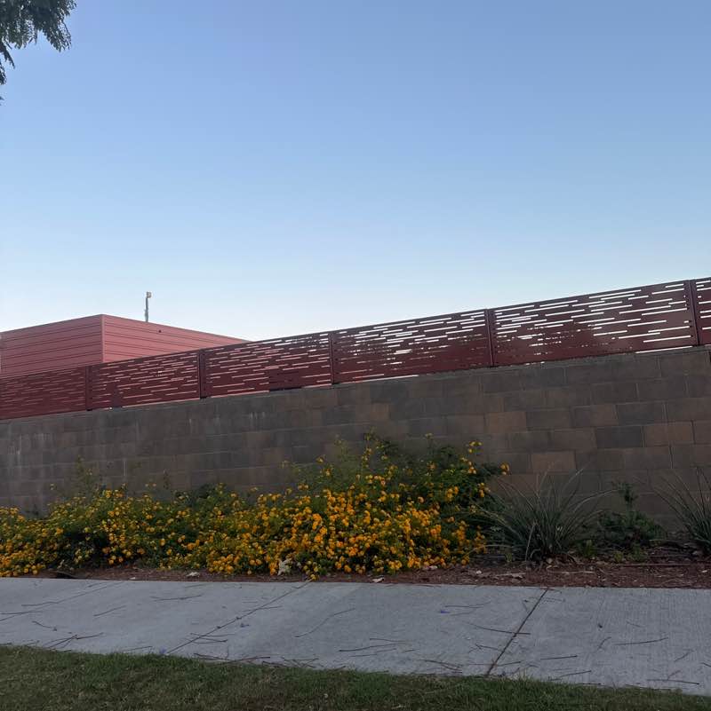 PacerGal_2002 post 1