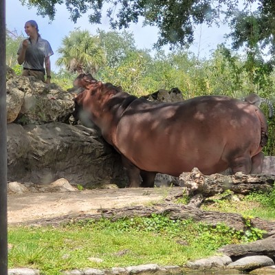 PersonManGaming post 1