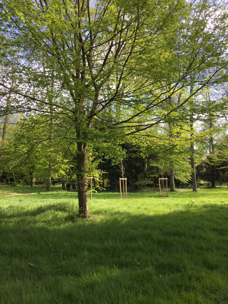 walking near me in Parc départemental de la Roseraie in winter