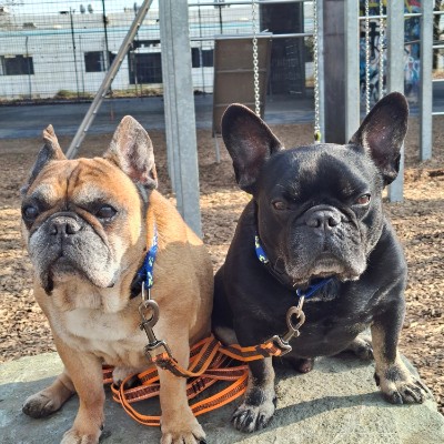 Pacerfreunde ๐๐ผโโ๏ธ๐๐ปโโ๏ธ manuela๐ฆฎ๐พ๐โ๐ฆบ๐พ๐ฆฎ post image