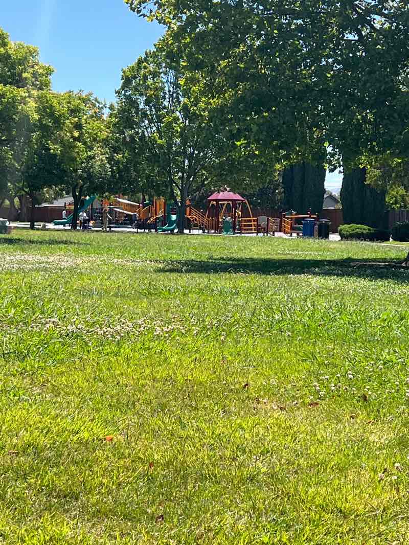 walking near me in Booster Park in summer