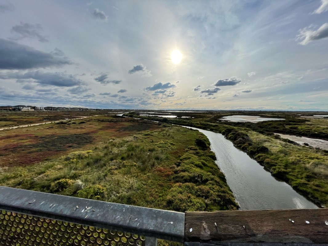 walking near me in Point Cooke Marine Sanctuary in summer
