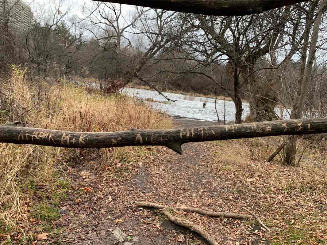 walking near me in Hog's Back Park in winter
