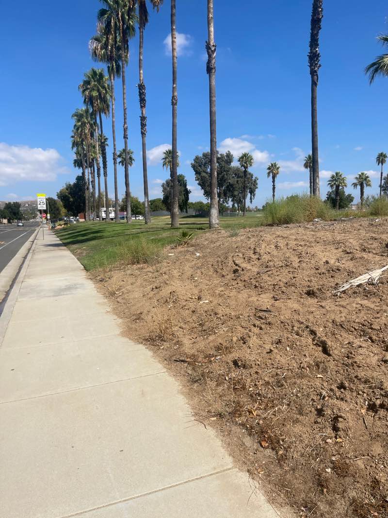 walking near me in Morrison Park in autumn