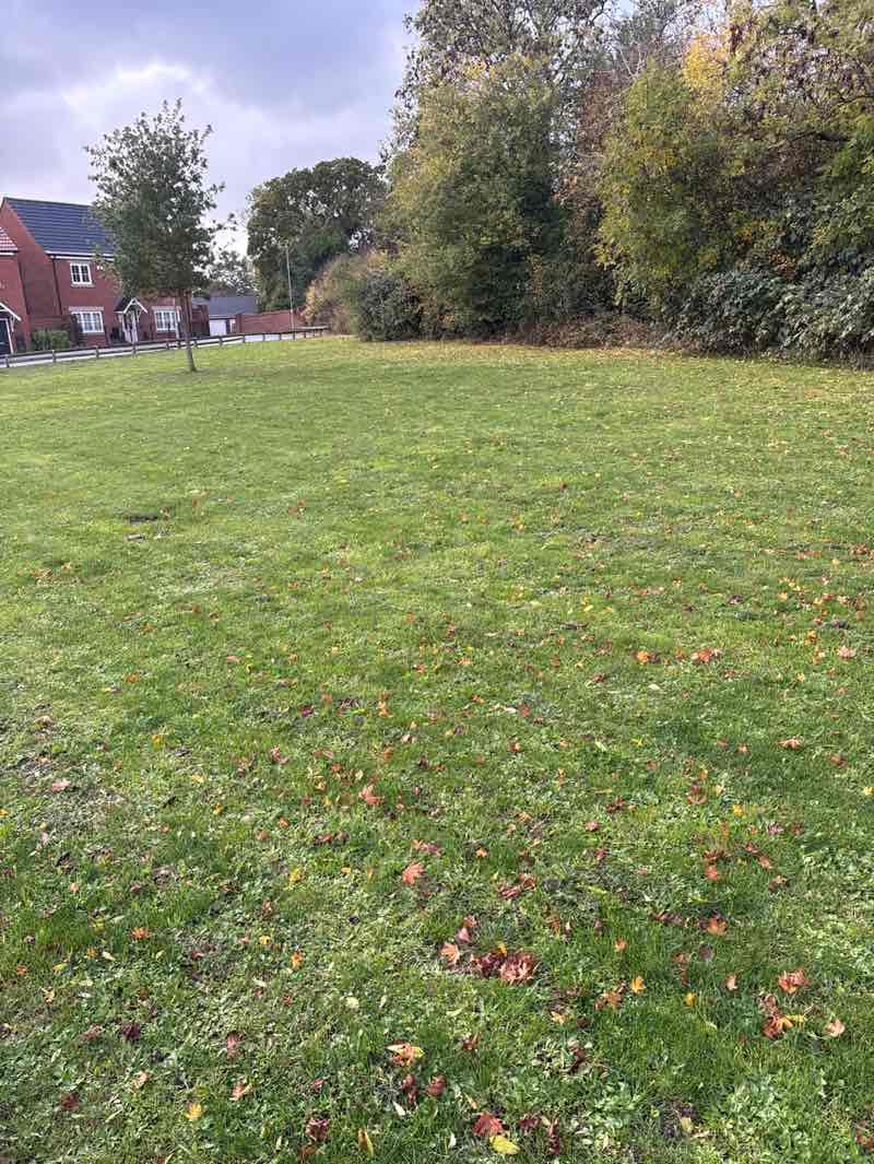 walking near me in Ruskin Field in autumn