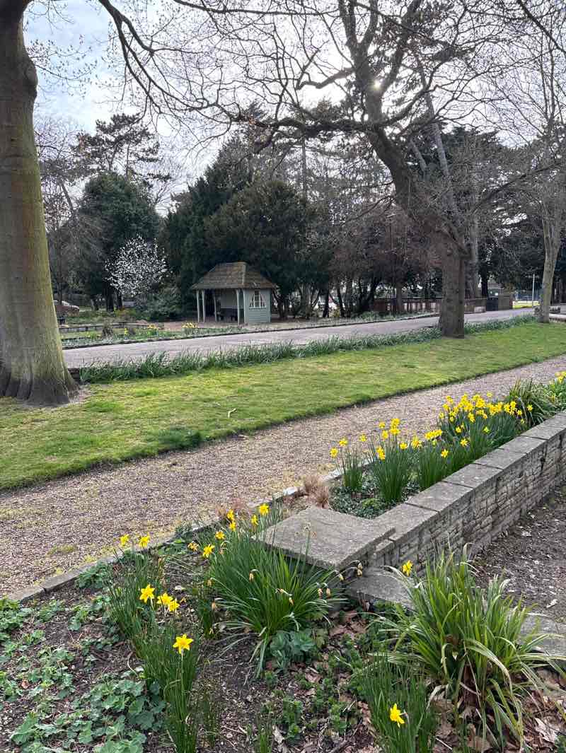 walking near me in Nicholas Everitt Park in spring