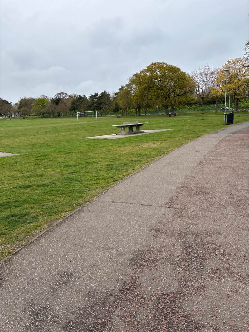 walking near me in Normanston Park in spring