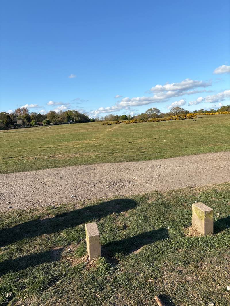 walking near me in Beccles Common in spring