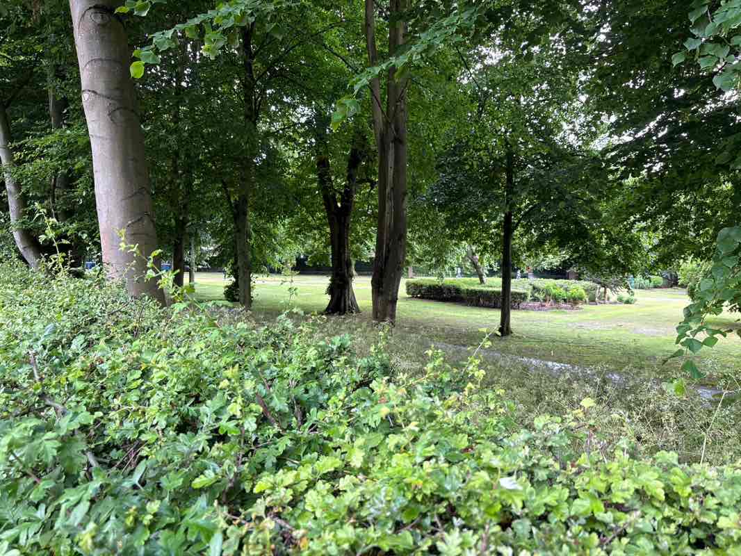 walking near me in Chapelfield Gardens in spring