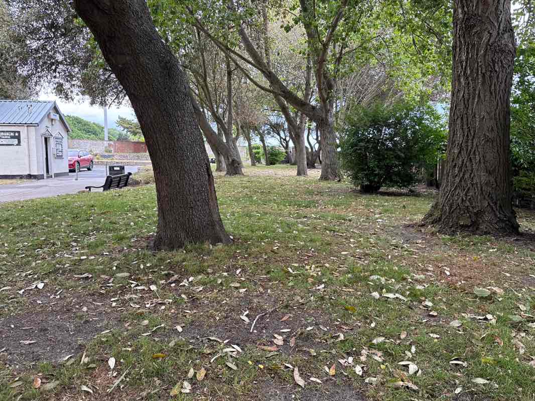walking near me in Sparrow's Nest Park in spring