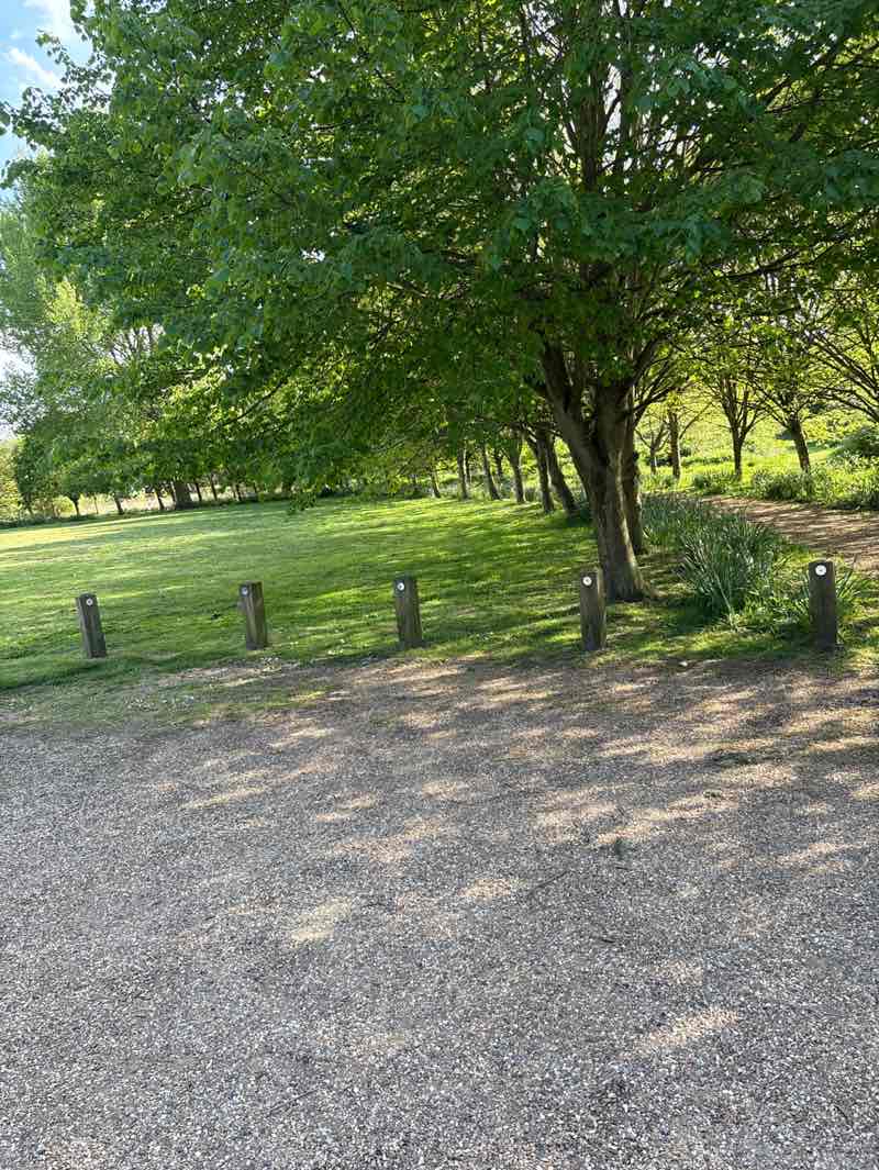 walking near me in Thompson Millennium Green in spring