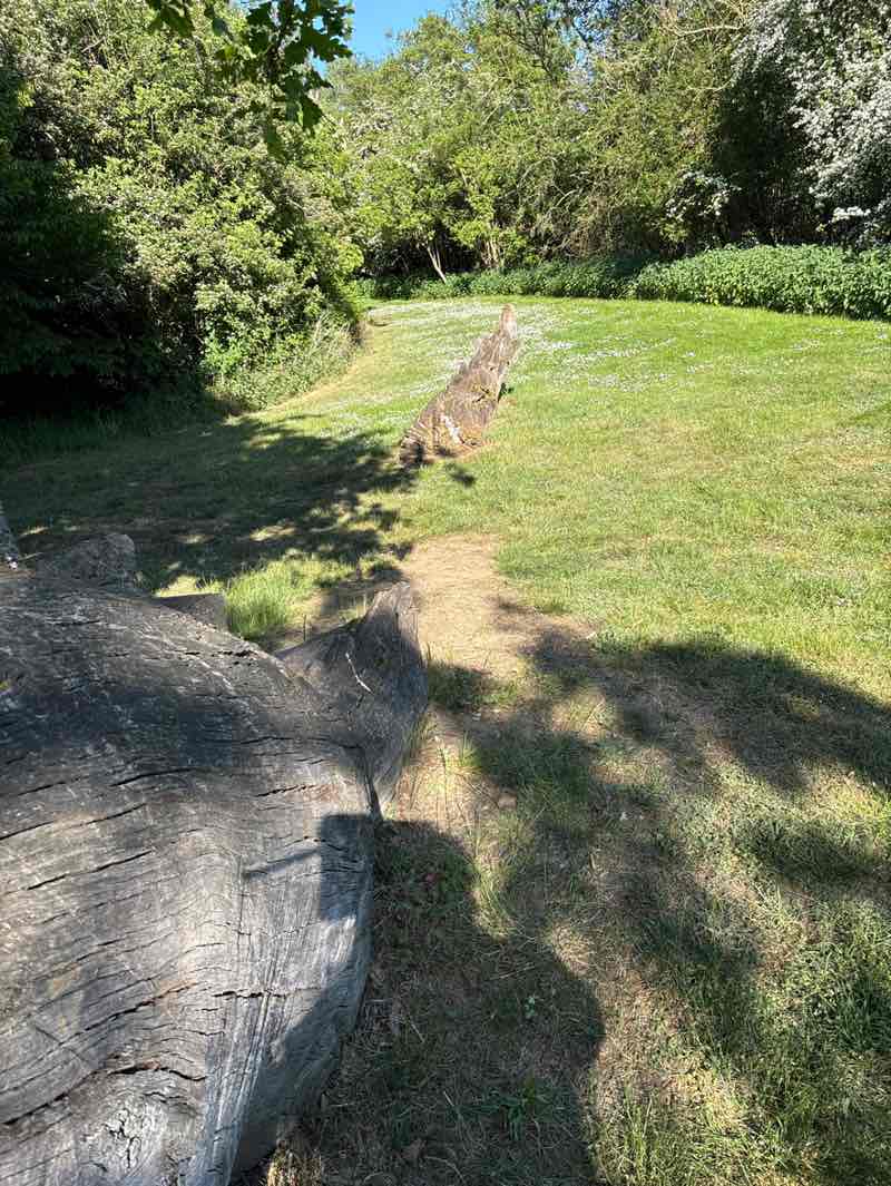 walking near me in Scole Pocket Park in spring