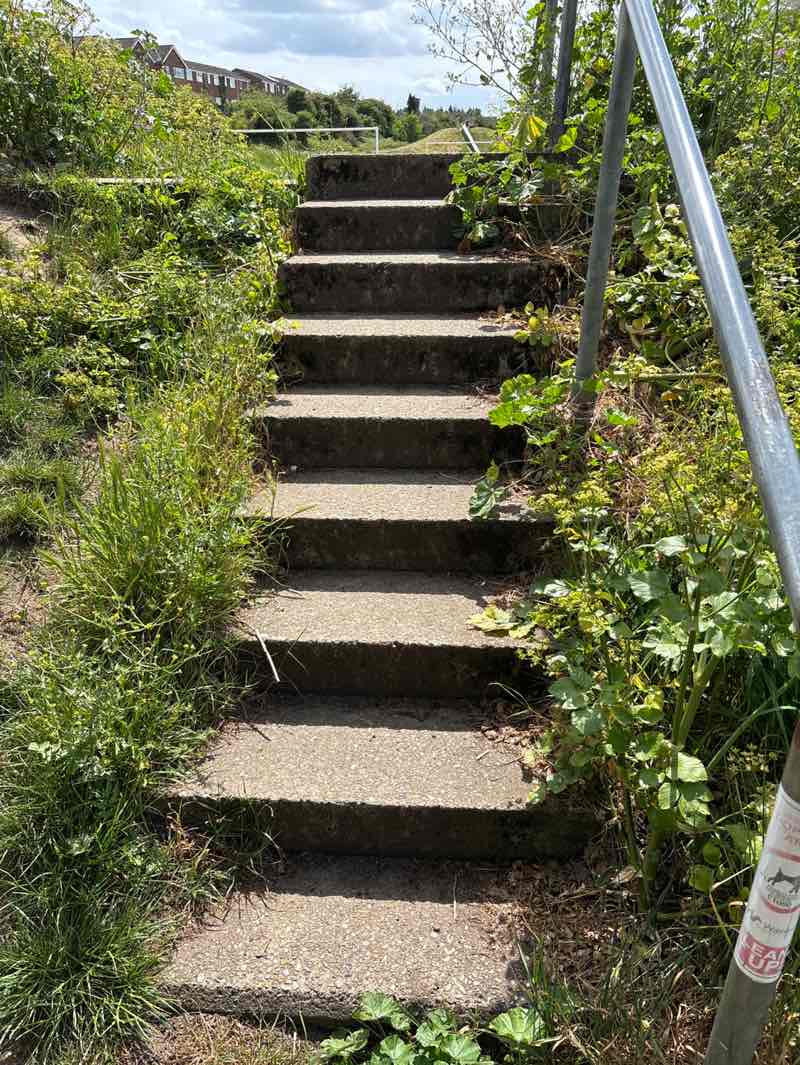 walking near me in Darby Park in spring