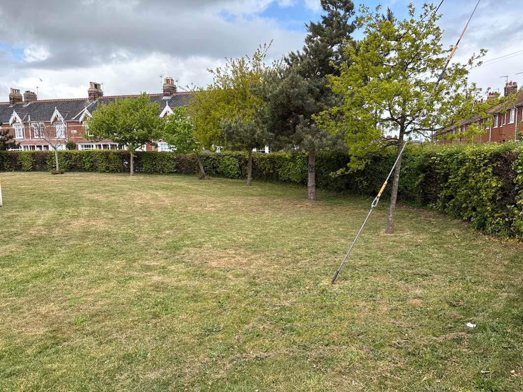 walking near me in Tibby's Green in spring