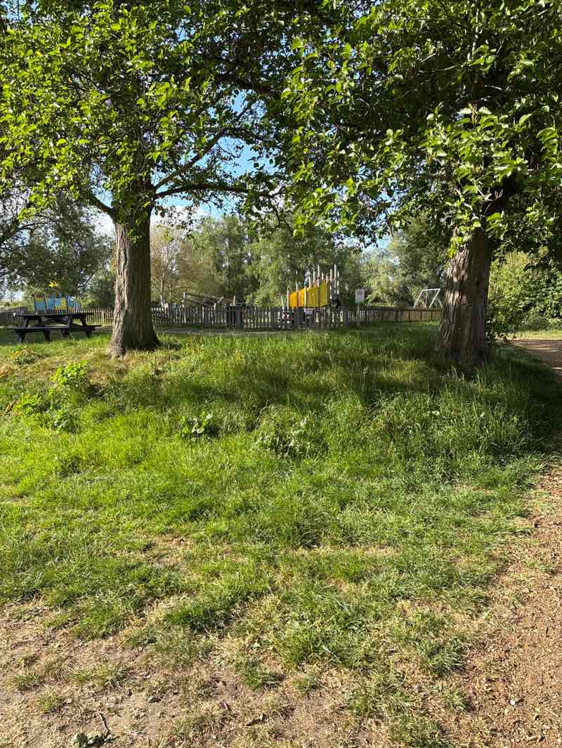 walking near me in The Quay Field in spring