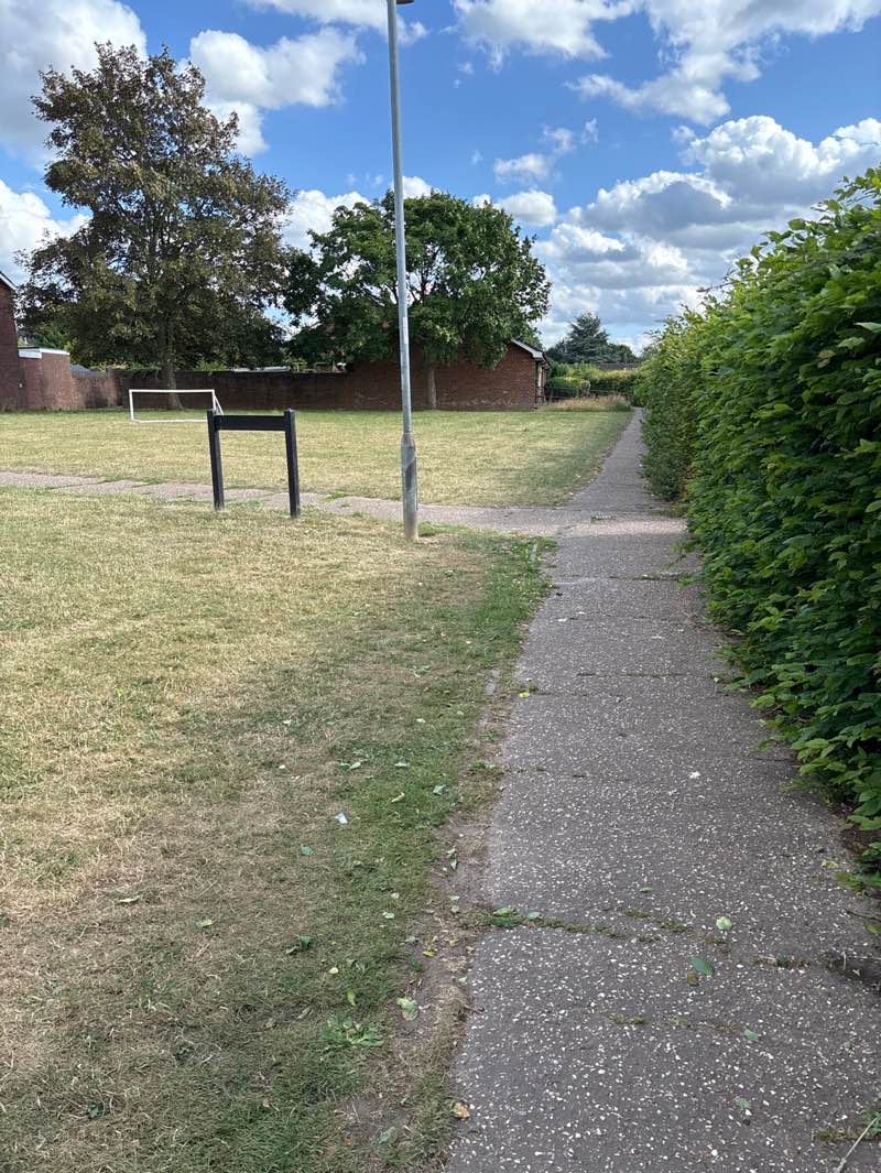 walking near me in Dereham Commonland in summer