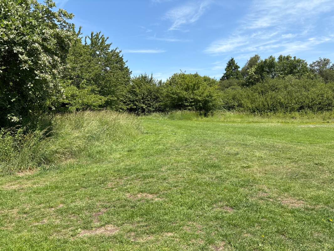 walking near me in Franklin Park in summer