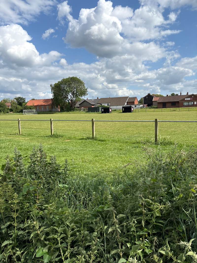 walking near me in King's Head Meadow in summer