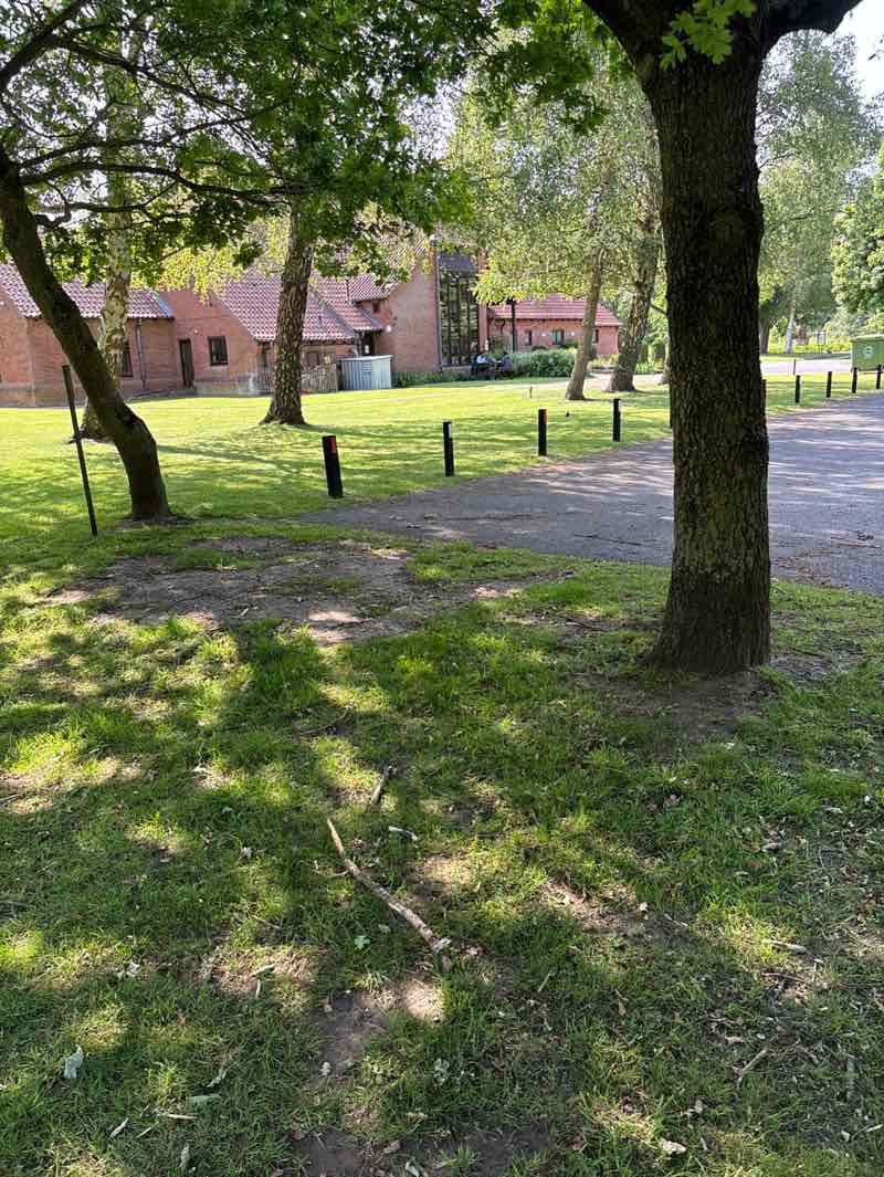 walking near me in The Saham Toney Playing Field in summer