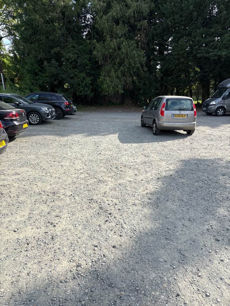 walking near me in The Meadow in summer